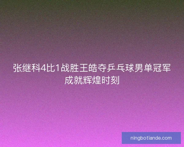 张继科4比1战胜王皓夺乒乓球男单冠军成就辉煌时刻