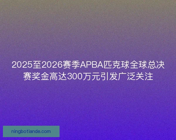 2025至2026赛季APBA匹克球全球总决赛奖金高达300万元引发广泛关注