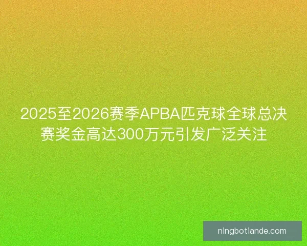 2025至2026赛季APBA匹克球全球总决赛奖金高达300万元引发广泛关注