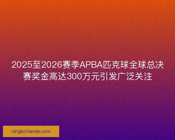 2025至2026赛季APBA匹克球全球总决赛奖金高达300万元引发广泛关注